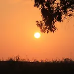 Sol Ii