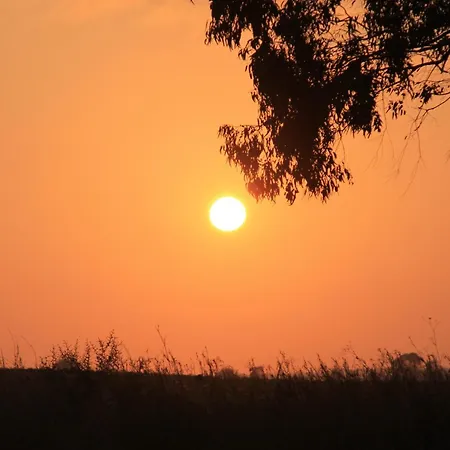 Sol Ii